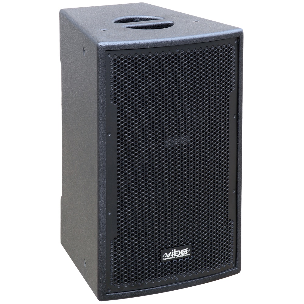 Pro Speaker 200W VIBE10Mk2